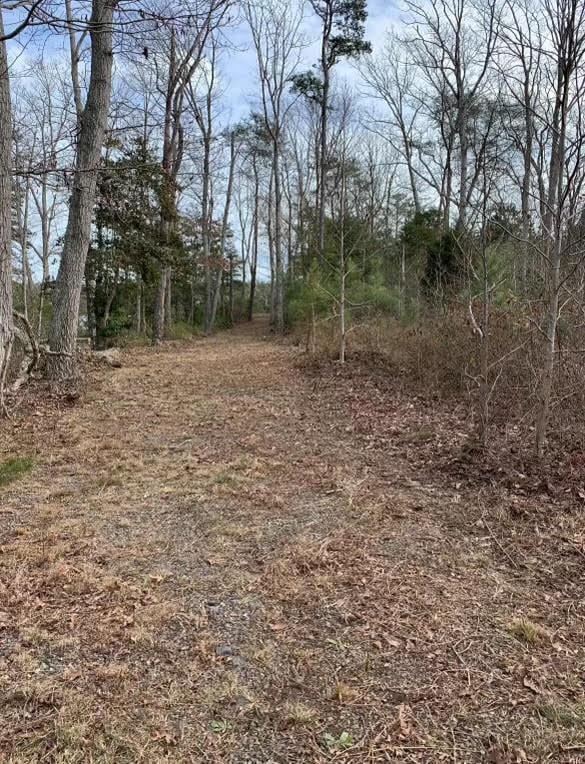 Listing photo 3 for LOT15 Eagles Nest Ln, Heathsville VA 22473