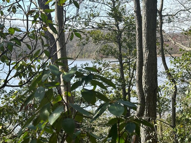 910 Coan Dr, Heathsville, VA 22473 - photo 6
