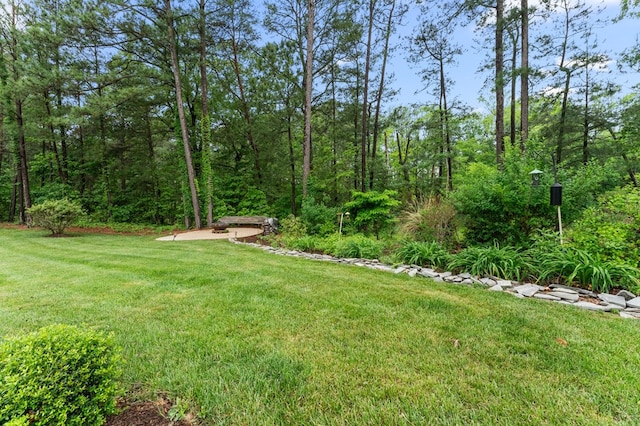 586 Kingscote Dr, Lottsburg, VA 22511 - view of green lawn