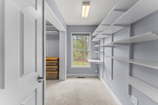586 Kingscote Dr, Lottsburg, VA 22511 - spacious closet with carpet floors