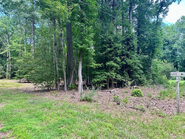 LOTS4 Hampton Pl, Heathsville, VA 22473 - photo 3