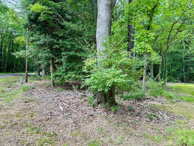 LOTS4 Hampton Pl, Heathsville, VA 22473 - photo 5