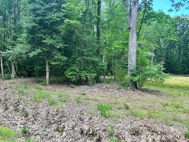 LOTS4 Hampton Pl, Heathsville, VA 22473 - photo 2