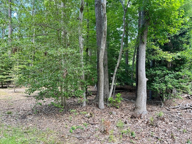 LOTS4 Hampton Pl, Heathsville, VA 22473 - photo 6