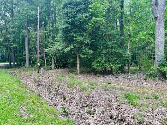 LOTS4 Hampton Pl, Heathsville, VA 22473 - photo 4