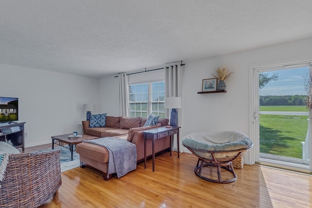 4058 Irvington Rd, Irvington, VA 22480 - living room with light hardwood / wood-style floors and a textured ceiling