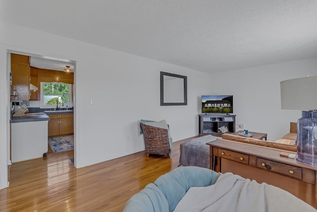 4058 Irvington Rd, Irvington, VA 22480 - living room with light hardwood / wood-style flooring, sink, and a textured ceiling