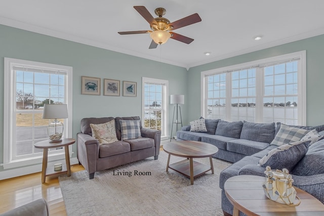 living room with ceiling fan, a healthy amount of sunlight, ornamental molding, and light hardwood / wood-style flooring