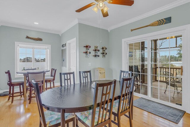 dining area with ceiling fan, light hardwood / wood-style floors, and crown molding