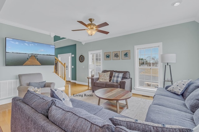 living room with ceiling fan, crown molding, and light wood-type flooring