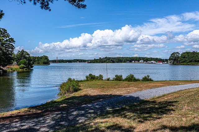 view of water feature