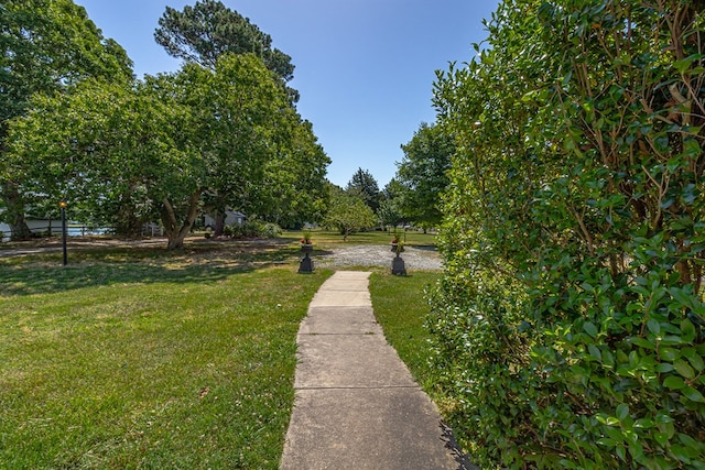 view of community with a lawn