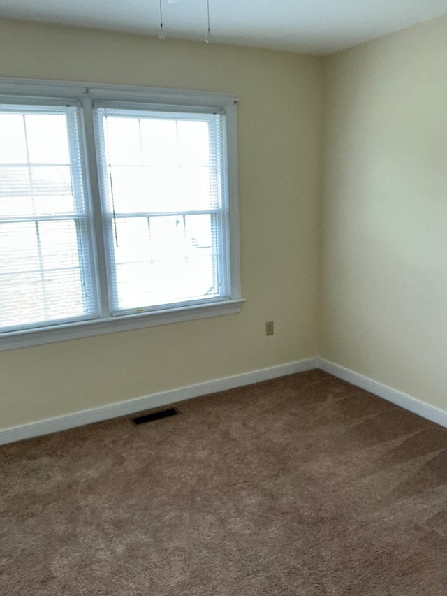 1734 Totuskey Church Rd, Warsaw, VA 22572 - photo 10