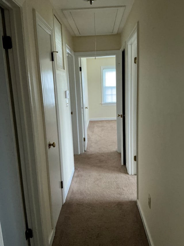 1734 Totuskey Church Rd, Warsaw, VA 22572 - photo 8