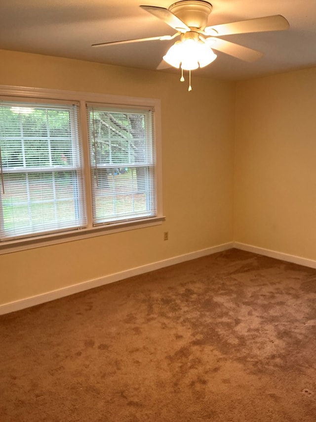 1734 Totuskey Church Rd, Warsaw, VA 22572 - photo 12