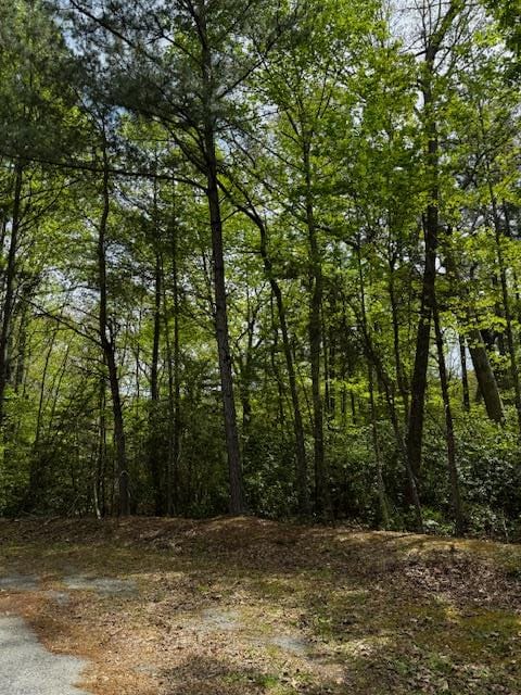 LOT10 Red Head Ln, Heathsville VA, 22473 land for sale