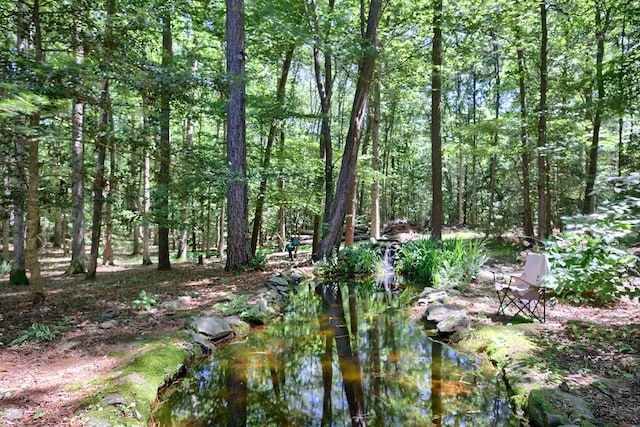10114 New Hope Ct, Gloucester, VA 23061 - view of local wilderness