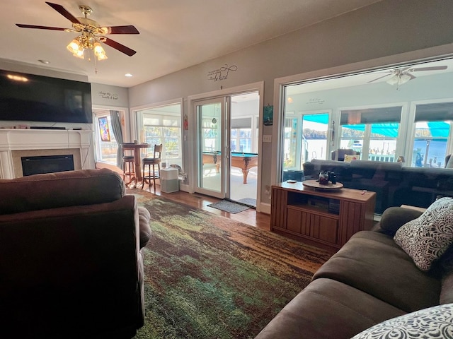 living room with hardwood / wood-style floors and ceiling fan