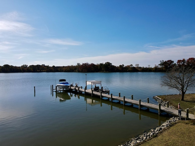 dock area with a water view