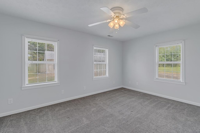 2920 Newmans Neck Rd, Heathsville, VA 22473 - photo 23