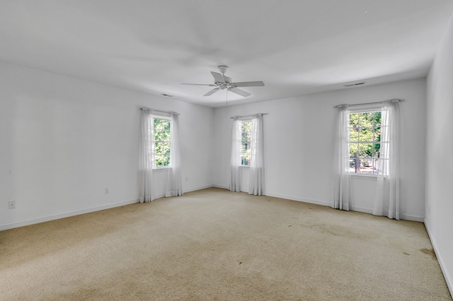 2010 Clarketown Rd, Heathsville, VA 22473 - photo 87