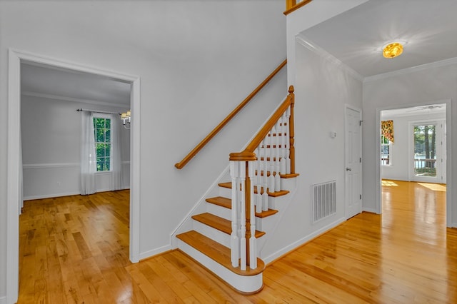 2010 Clarketown Rd, Heathsville, VA 22473 - photo 53