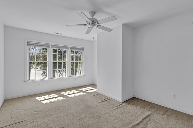 2010 Clarketown Rd, Heathsville, VA 22473 - photo 83