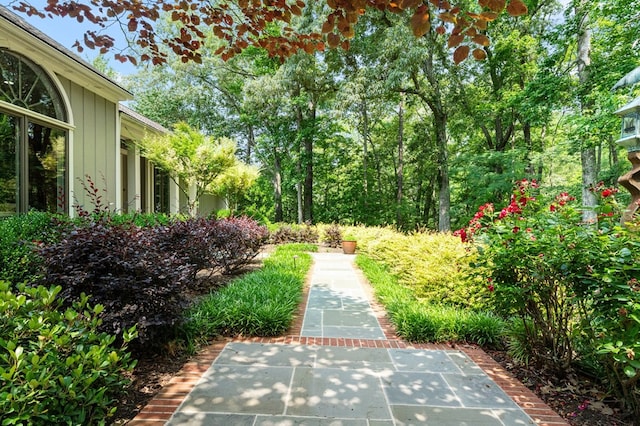 873 Deep Creek Rd, Lancaster, VA 22503 - view of yard