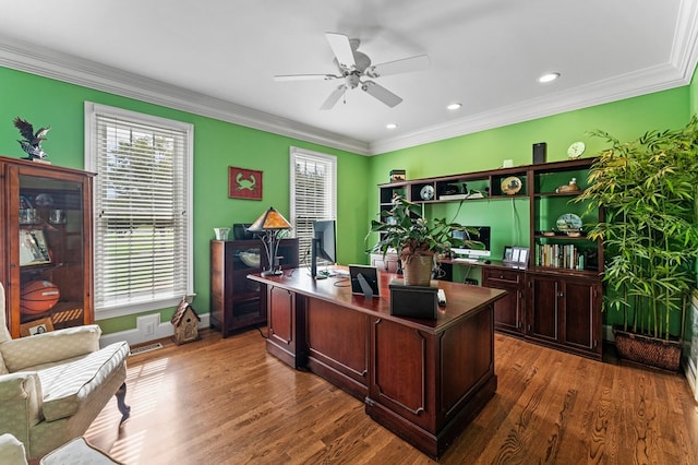 office space with dark hardwood / wood-style flooring, ceiling fan, and crown molding