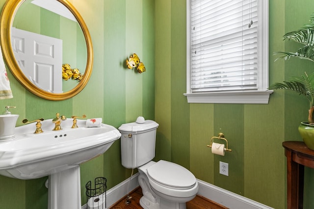 bathroom featuring hardwood / wood-style floors, toilet, and sink