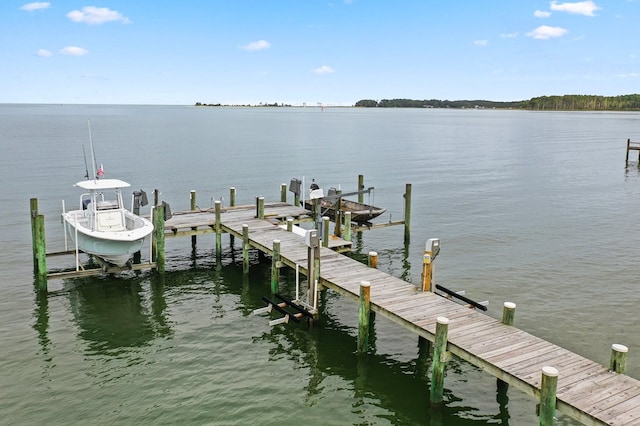 dock area featuring a water view