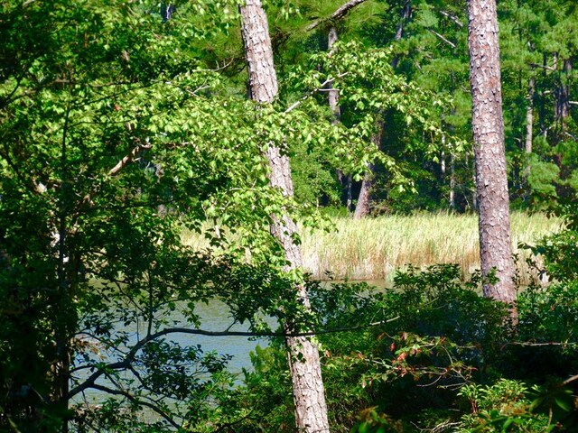 4 Paddock Dr, Lancaster, VA 22503 - photo 12