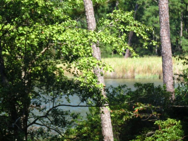 4 Paddock Dr, Lancaster, VA 22503 - photo 8