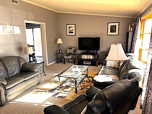 living room with ornamental molding and carpet floors