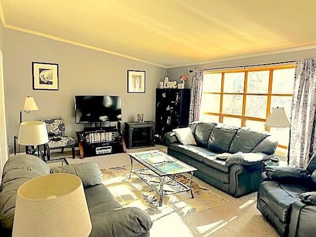 living room with crown molding, vaulted ceiling, and carpet