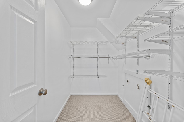 walk in closet featuring light carpet