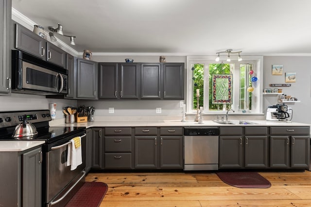 844 Monarch Shores Rd, Kilmarnock, VA 22482 - kitchen featuring appliances with stainless steel finishes, a sink, ornamental molding, light countertops, and light wood-style floors