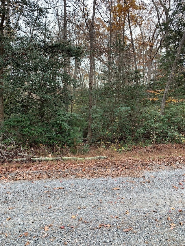 Listing photo 3 for LOT131 Lonesome Pines Trl, Lancaster VA 22503