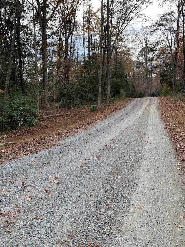 Listing photo 2 for LOT131 Lonesome Pines Trl, Lancaster VA 22503