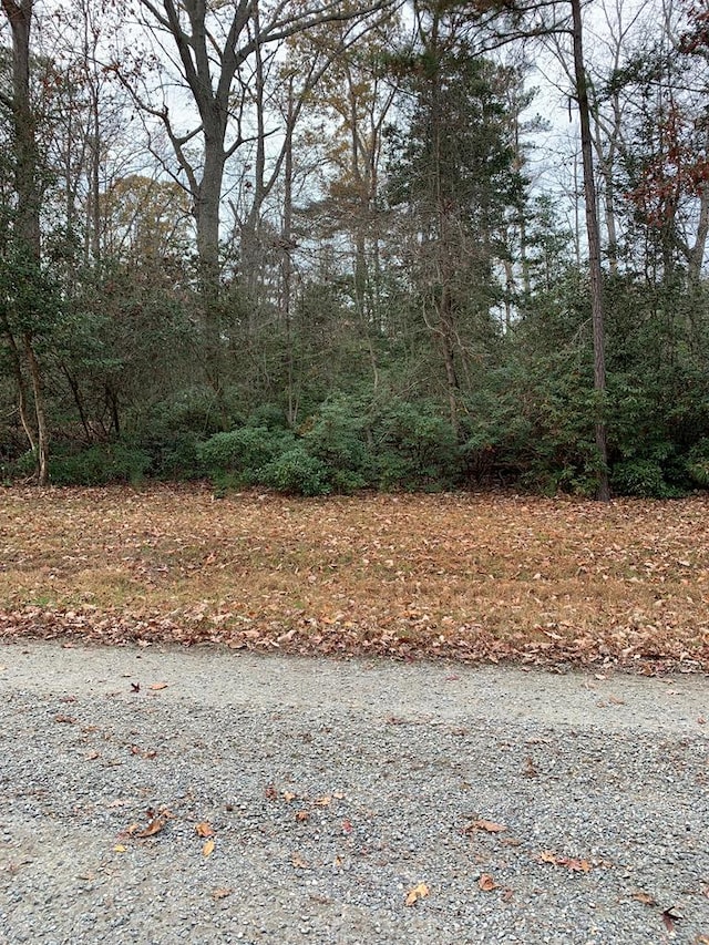 LOT131 Lonesome Pines Trl, Lancaster VA, 22503 land for sale