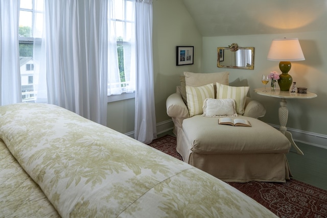 bedroom with lofted ceiling