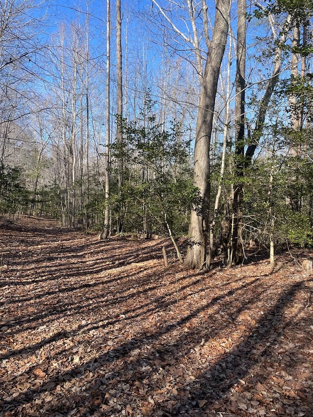 RTE668 Glebe Landing Rd, Center Cross, VA 22437