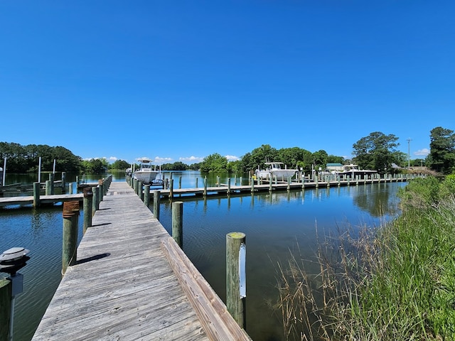 dock area with a water view