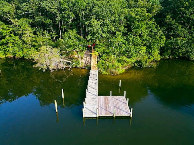 24 Eagles Nest Ln, Heathsville, VA 22473 - photo 1