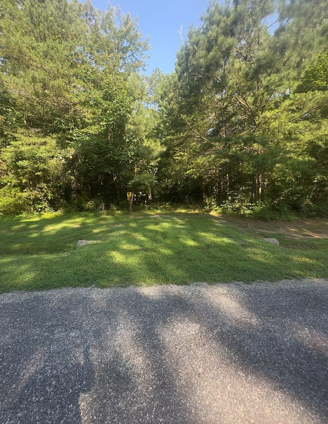 24 Eagles Nest Ln, Heathsville, VA 22473 - photo 4