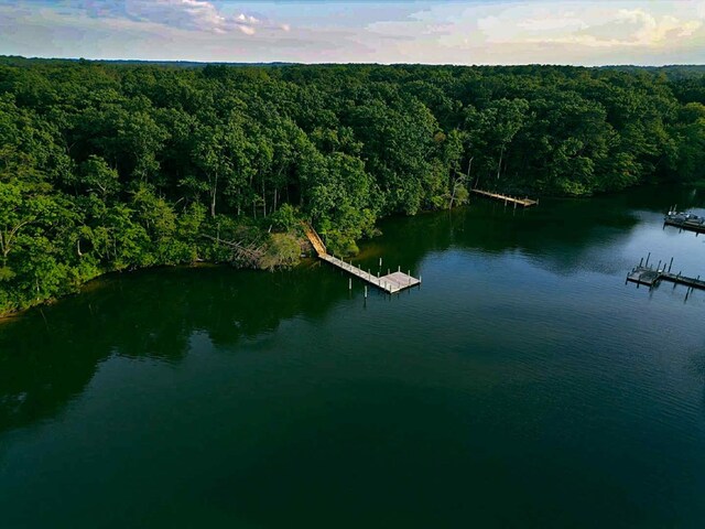 24 Eagles Nest Ln, Heathsville, VA 22473 - photo 26