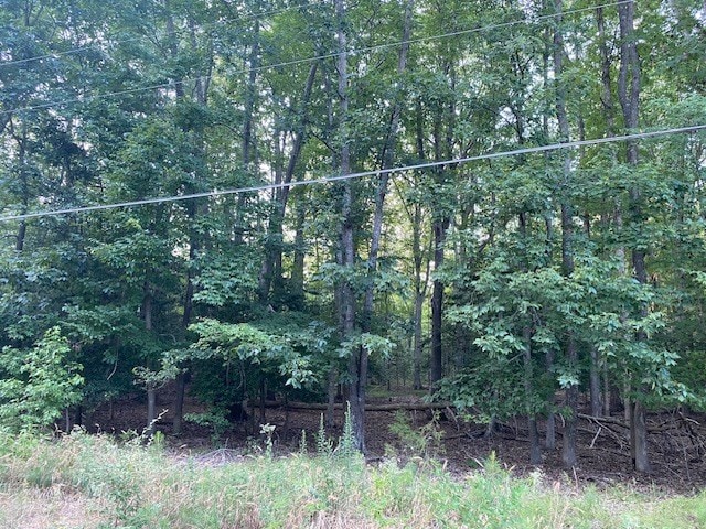 27-35 Berkeley Forest Rd, Weems, VA 22576 - photo 4