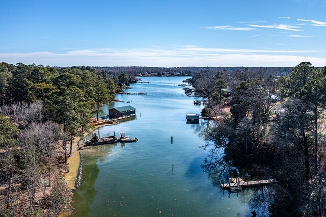 783 King Carter Dr, Irvington, VA 22480 - view of water feature with a boat dock
