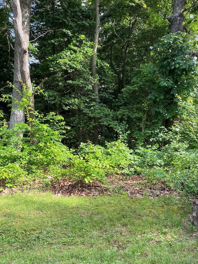 0 Lane Rd, Reedville, VA 22539 - photo 6