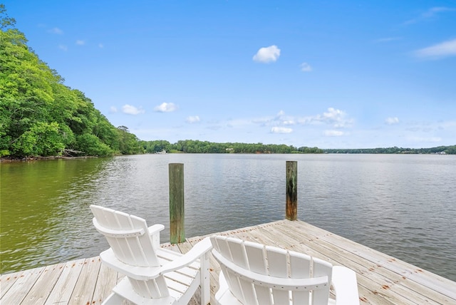 120 River Hill Rd, Heathsville, VA 22401 - photo 31